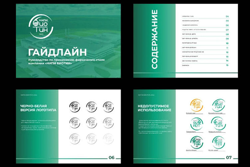 Фирменный стиль и Гайдлан